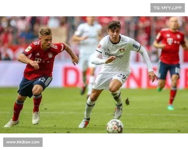 德甲比赛中红黄牌的处罚规则与实施细则解析 德甲比赛中红黄牌的处罚规则与实施细则解析